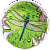 30464_Lily-Pad_Dragonfly_r