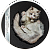 30392_Underlook - Under-Cat_r