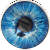 30019_colorEYEzed-ocean blue_r
