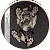 30834_Underlook_Under-Dog_r