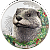 30920_Woodland Spirits - Otter_r